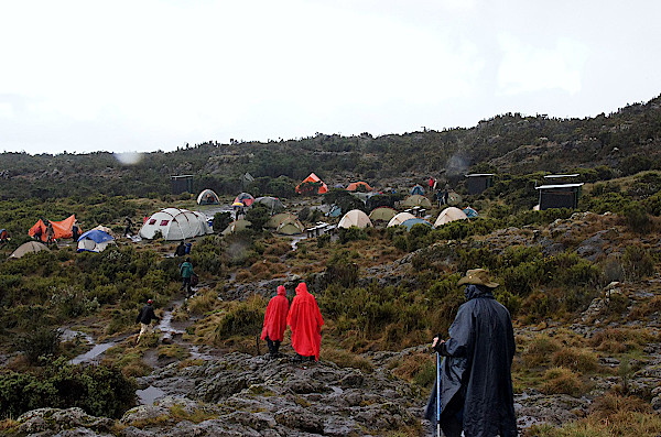 Kilimandscharo-Aufstieg