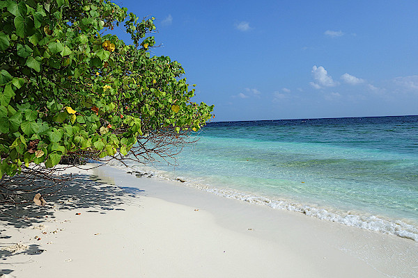 Feridhoo-Strand-Malediven
