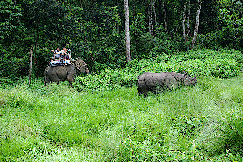 Chitwan-Nationalpark 