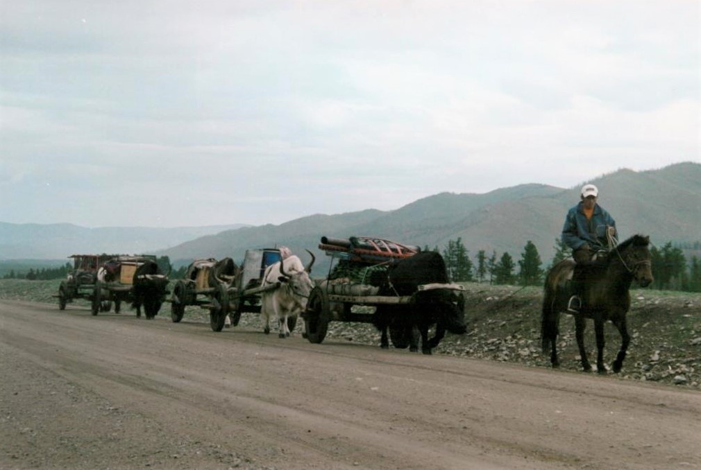 Nomaden-Trek-Gobi-Mongolei