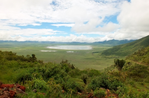 Loewen-und-Hyaenen-im-Ngorongoro-Krater