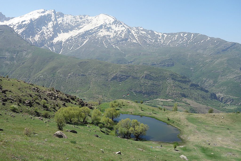 Gomi-Felaw-Kurdistan