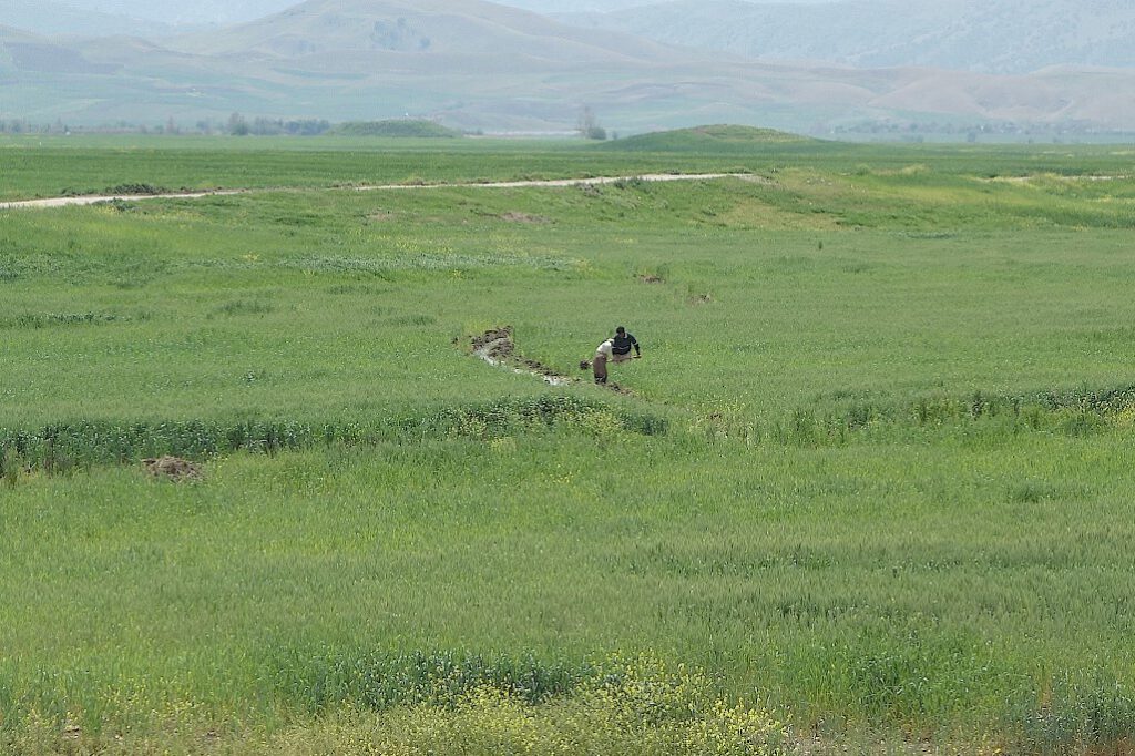 Bauern-in-Kurdistan