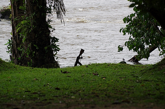 Am Fluss Epulu in der DR Kongo