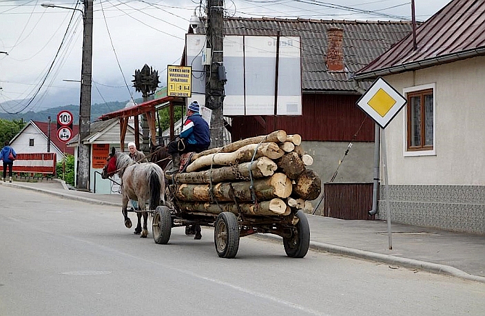 Das Holz wird noch mit Pferdekarren transportiert