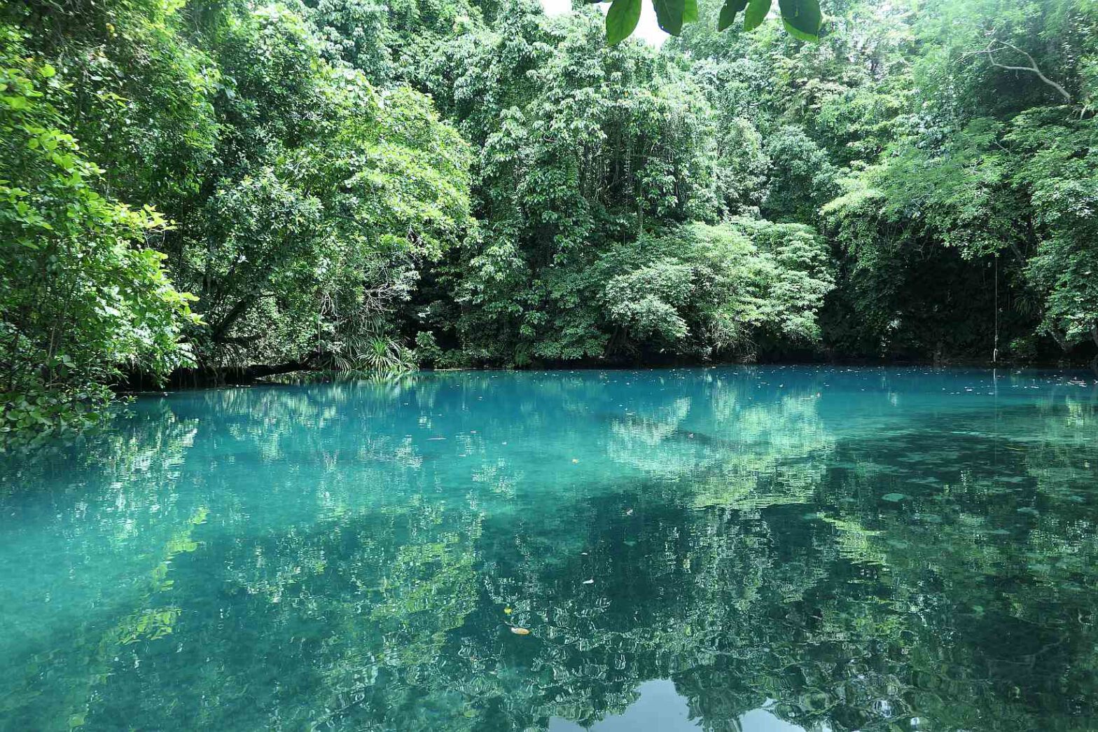 Vanuatu Insel Efate, Ausflug auf die Inseln Tanna, Espiritu Santo