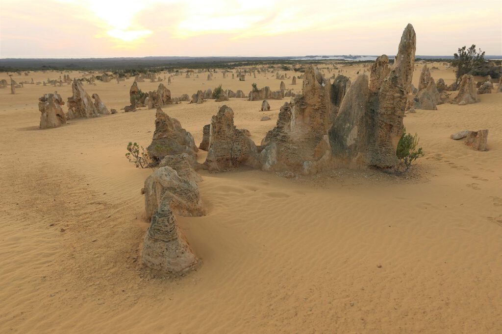 Pinnacles-Wüste im Nambung-Nationalpark, Australien