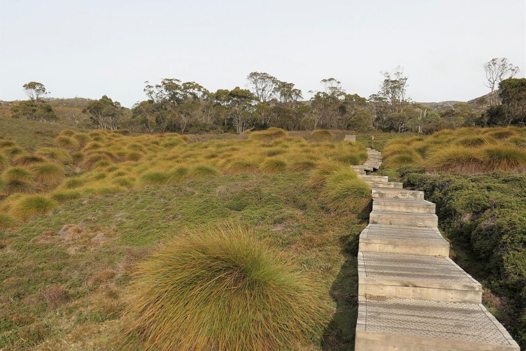 Bohlenweg durch Alpenmoorlandschaft im Cradle Mountain Nationalpark in Australien