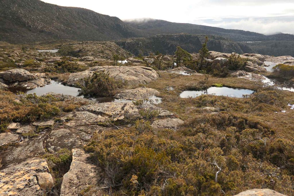 Tarn Shelf Wanderweg in Australien