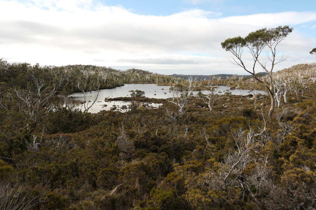 Gletschersee auf dem Tarn Shelf Wanderweg in Tasmanien