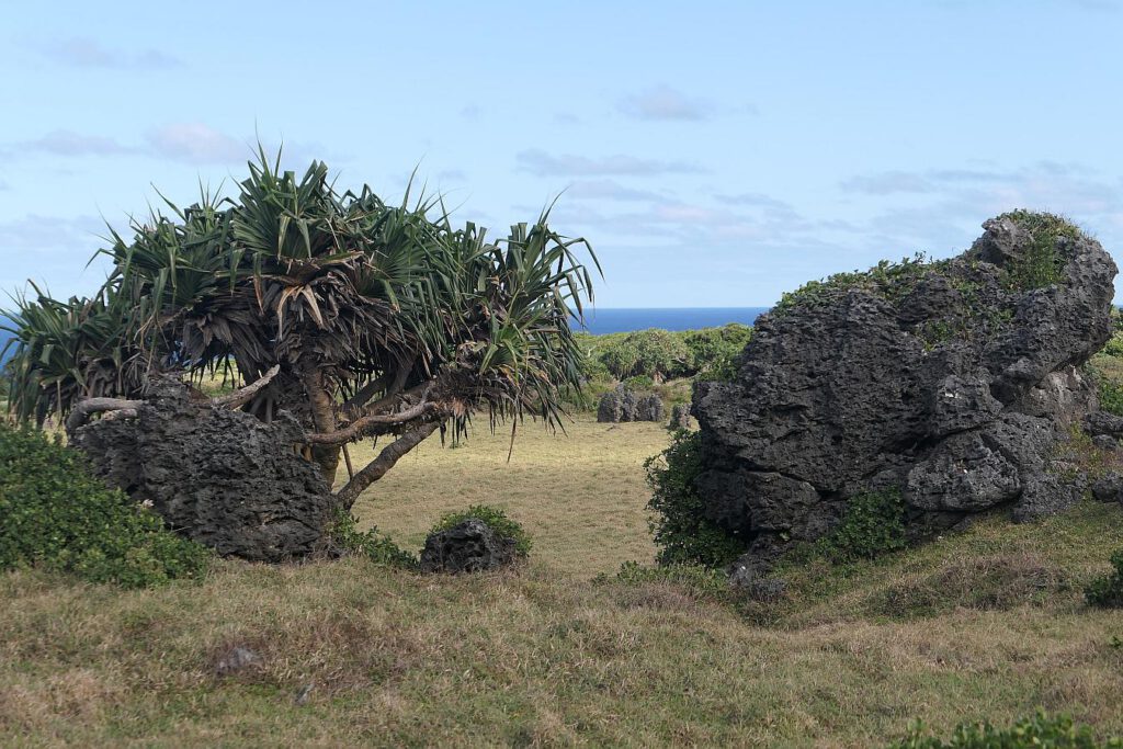 Rock Garden auf Eua, Tonga