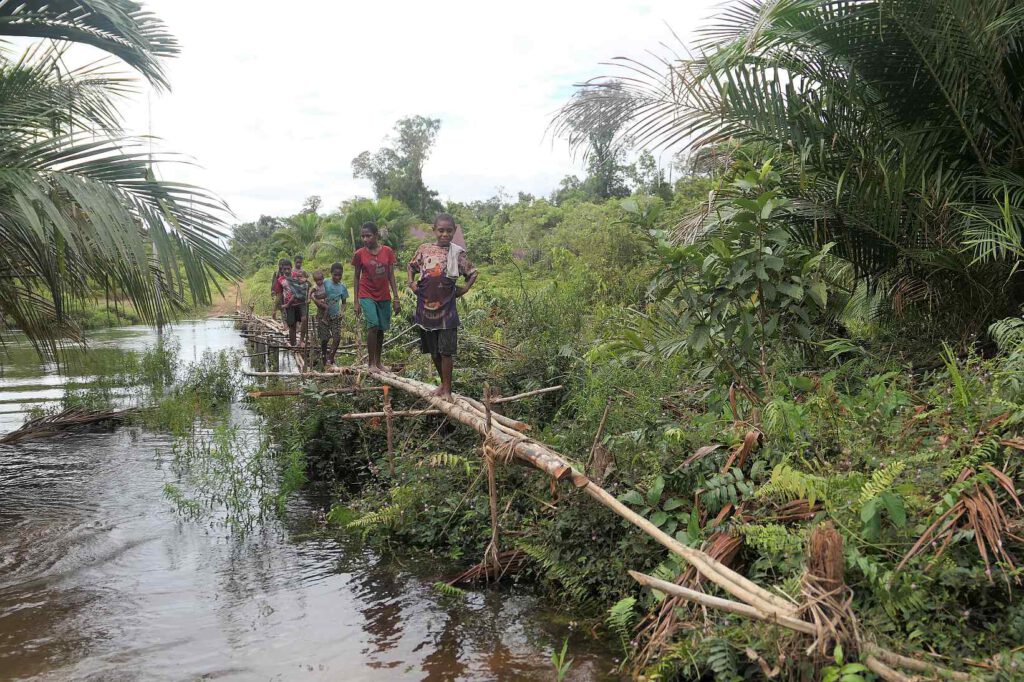 Korowai, West-Papua, Indonesien