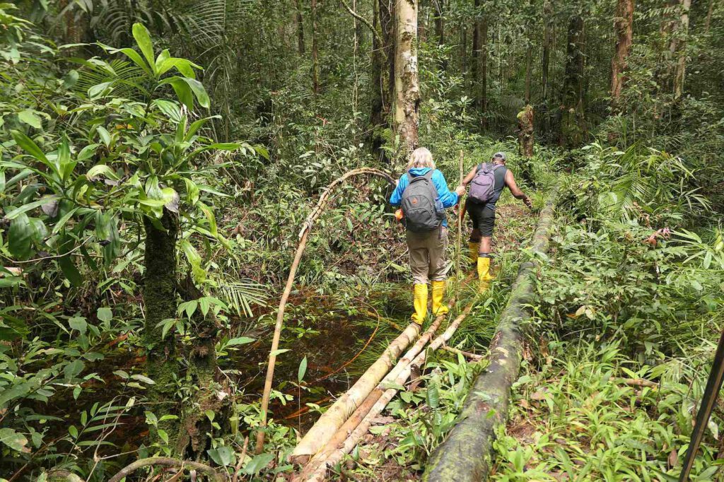 Dschungeltrip zu den Korowai, West-Papua, Indonesien