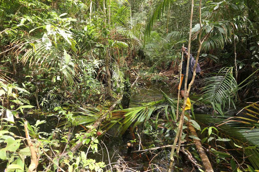 Korowai, West-Papua, Indonesien