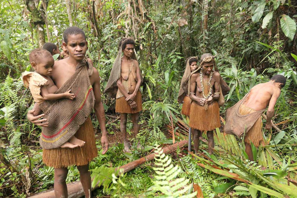 Sagoernte der Korowai, West-Papua, Indonesien