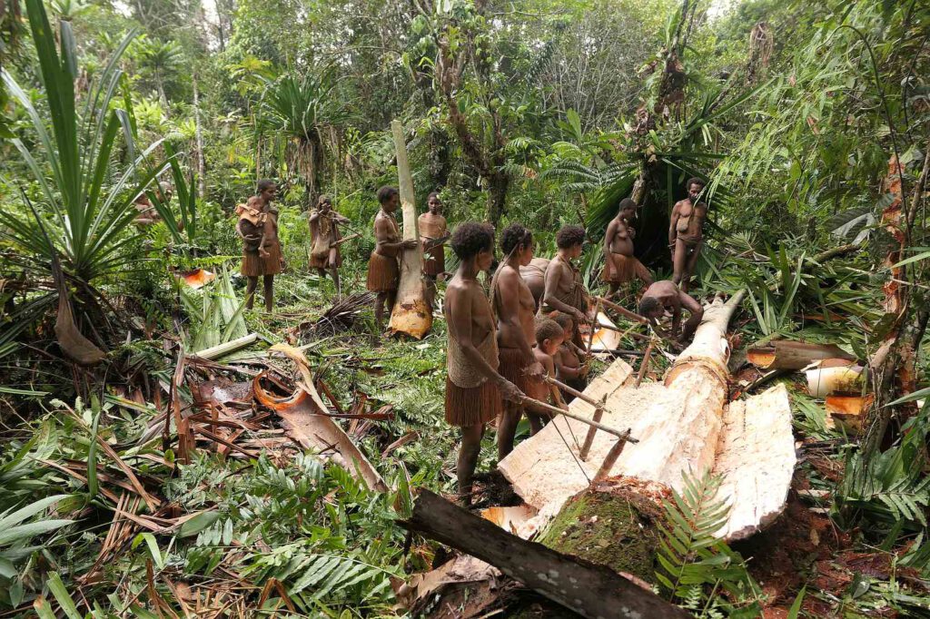 Sagoernte der Korowai, West-Papua, Indonesien