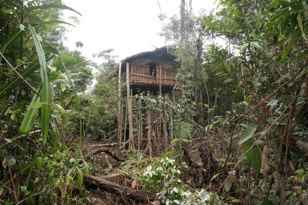  Dorf der Korowai, West-Papua, Indonesien