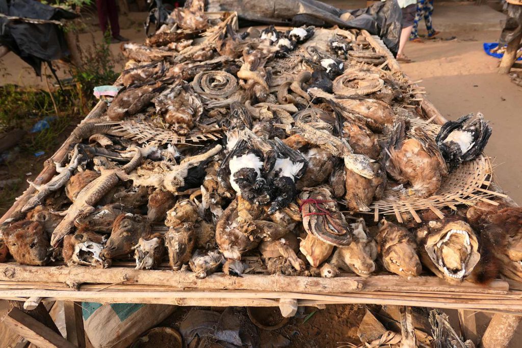 Fetischmarkt in Lome, Togo