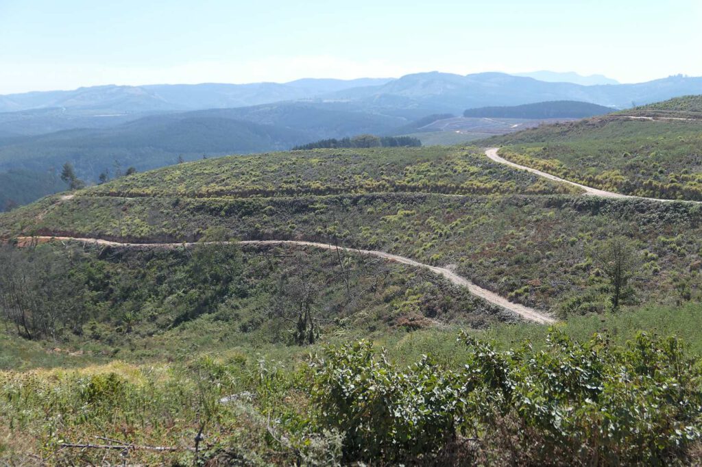 Nyangani-Nationalpark in Simbabwe