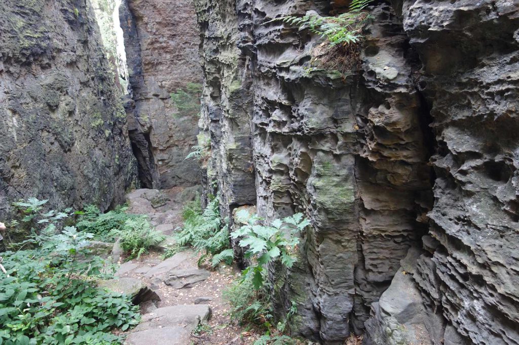 Bielatal in Sachsen