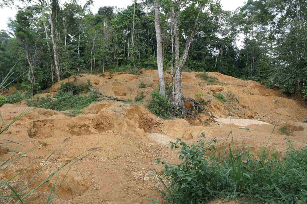 Verwüstete Landschaft im Dimonika-Biosphärenreservat in der Republik Kongo