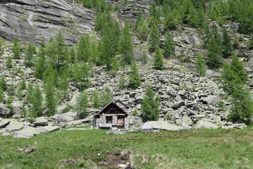 Alp Cradisc auf dem Weg zu den Laghi della Crosa, Schweiz