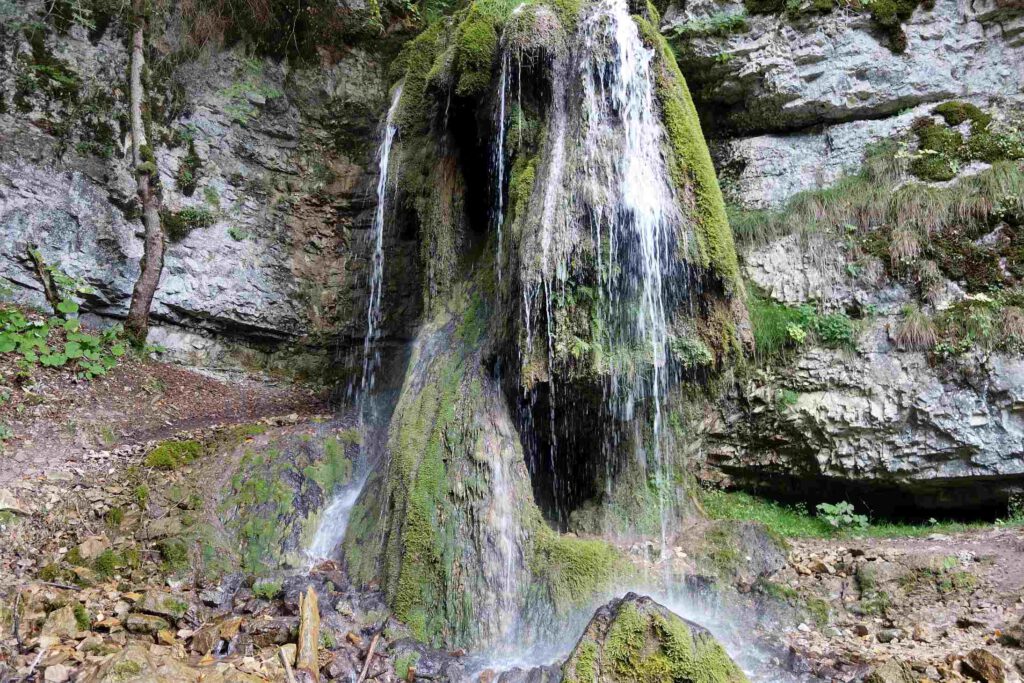 Schluchtensteig in Baden-Württemberg