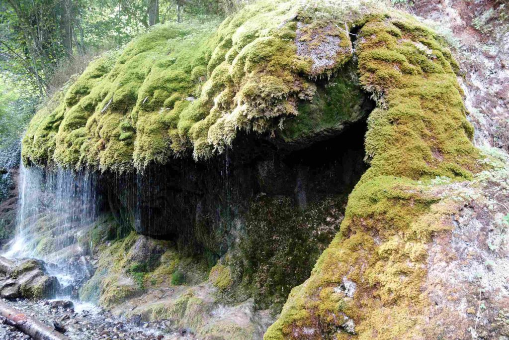 Schluchtensteig in Baden-Württemberg