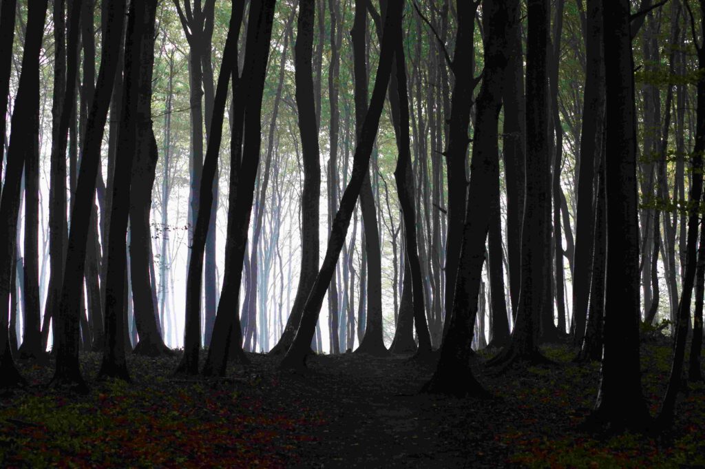 Höhenrundweg auf Rügen in Mecklenburg-Vorpommern
