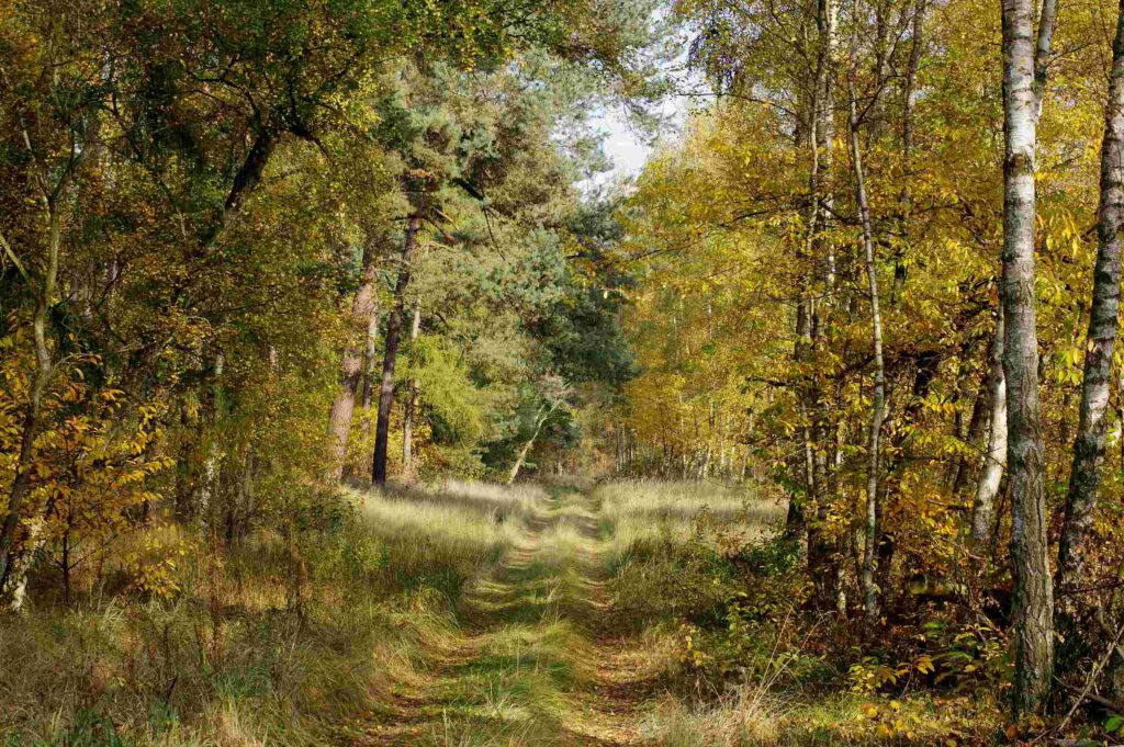 Altwarp in Mecklenburg-Vorpommern
