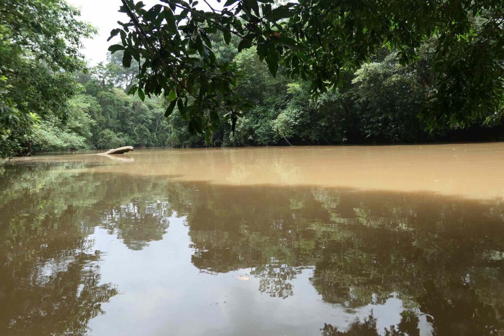 Fluss Bartola in Nicaragua