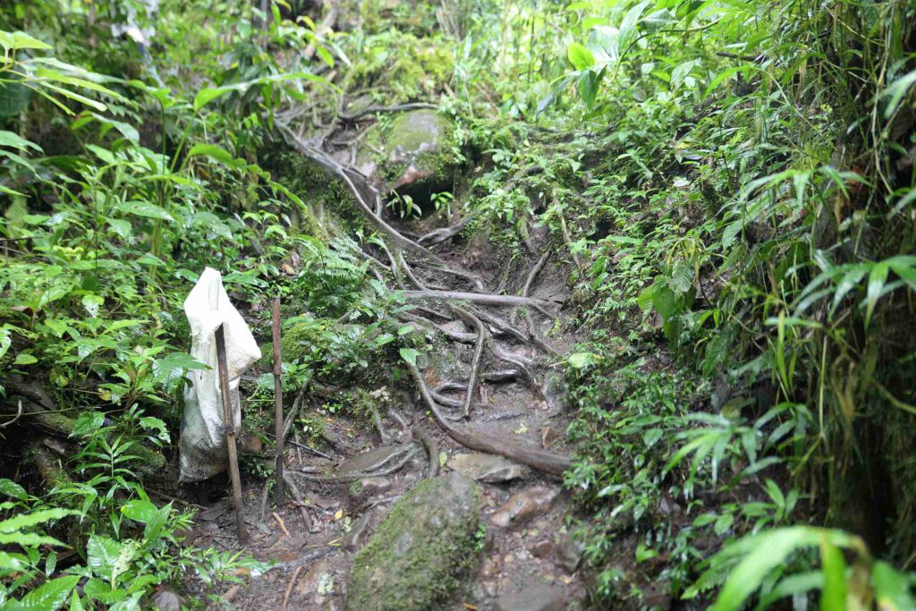 Wandern im Peñas-Blancas-Massiv in Nicaragua
