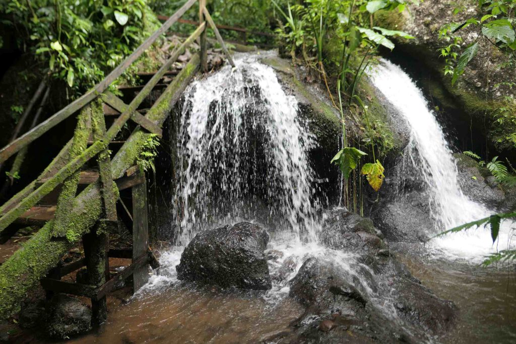 Wandern im Peñas-Blancas-Massiv in Nicaragua