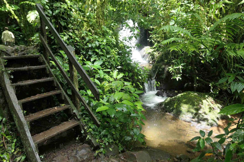 Wandern im Peñas-Blancas-Massiv in Nicaragua